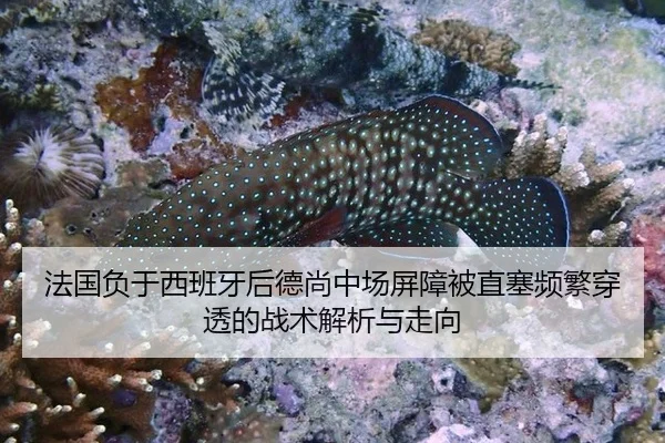 fa-guo-fu-yu-xi-ban-ya-hou-de-shang-zhong-chang-ping-zhang-bei-zhi-sai-pin-fan-chuan-tou-de-zhan-shu-jie-xi-yu-zou-xiang-2-501.jpg